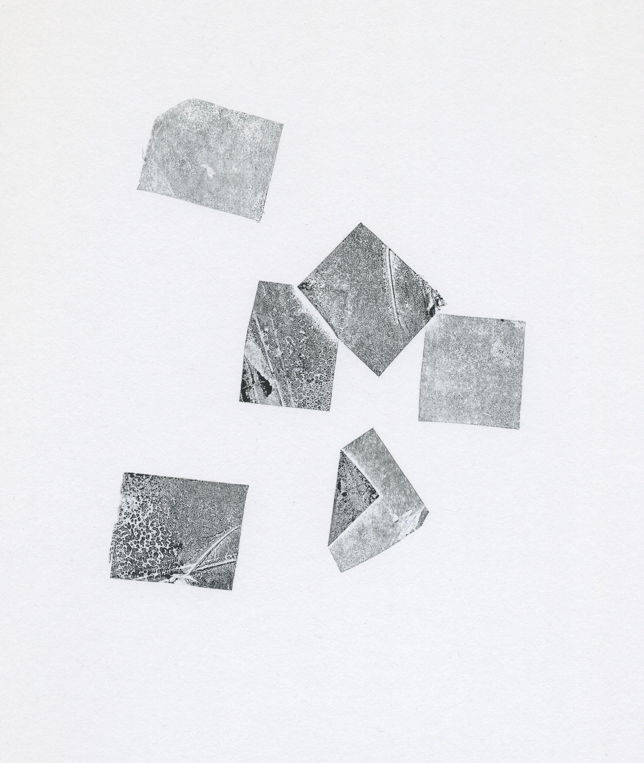 Fragments monoprint