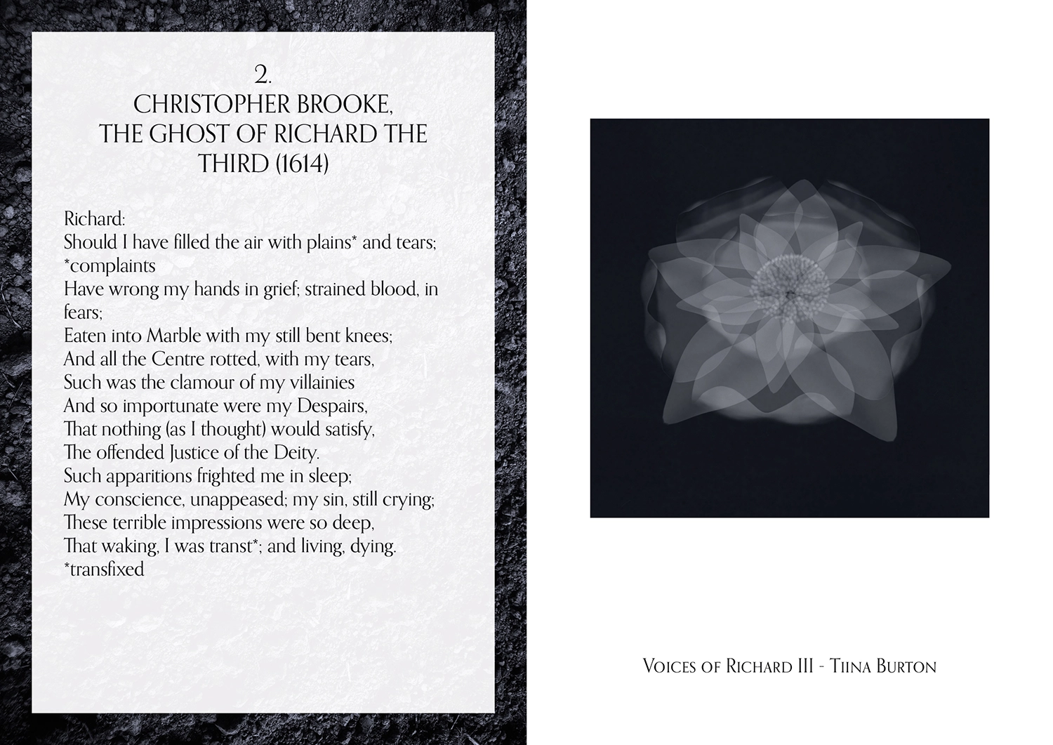 Text and image of a ghostly white York rose.